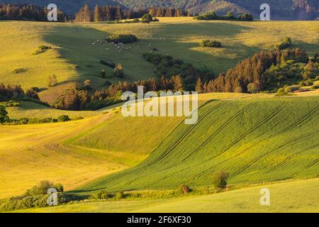 Landwirtschaftliche, ländliche Landschaft in den Ausläufern der Velka Fatra, Slowakei.