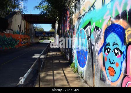 Der Free Expression Bridge-Tunnel an der Duke University, wo Studenten auf dem Campus frei Graffiti malen dürfen. Stockfoto