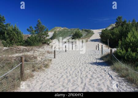 Sandiger Pfad mit blauem Himmel im Slowinski Nationalpark, Polen Stockfoto