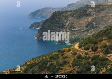 Blick auf die blaue Mittelmeerbucht mit Bananenpflanzen auf Felsen in Antalya Gazipasa Türkei. Stockfoto