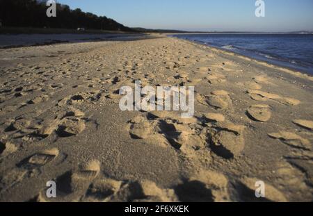 Fußspuren im Sand am Thiessow-Strand, Insel Ruegen Stockfoto