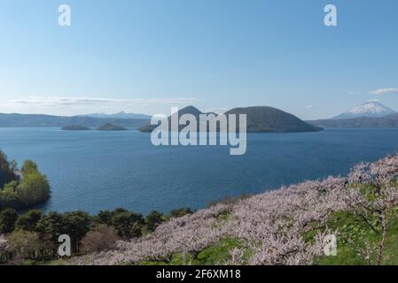 Kirschblütenwald mit Blick auf den See Toya Stockfoto