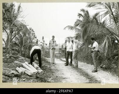Das Bild zeigt fünf Männer auf einer Feldstraße in einem Farmgebiet.einer der Männer Fuß einer der anderen, die über ein Paar Holzwehen gebogen sind.das Bild ist in Verbindung mit der Brücke des Flusses Fairway 1966-1967 .. Das Bild zeigt fünf Männer auf einer unbefestigten Straße in einem Farmgebiet.einer der Männer Fuß einer der anderen, die über ein Paar Holzwehen gebogen sind.das Bild wurde in Verbindung mit dem Heilmittel des Flusses Fast Baby Journey 1966-1967 aufgenommen.in Alben mit Fotografien aus enthalten Älvsnabben lange Reise 1966-1967.Sie lehnte 10/11 1966 von Karlskrona ab und ging durch die She Stockfoto