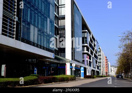 Glasvorhang Wandfassaden von modernen Bürogebäuden entlang einer ruhigen Straße, Baumgrenze. Frühlings-Szene. Geschäftsviertel. Üppig grüne Hecke. Blauer Himmel Stockfoto