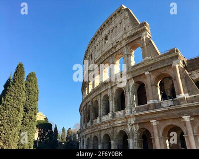 Nahaufnahme der Bäume am Kolosseum, Rom, Latium, Italien Stockfoto