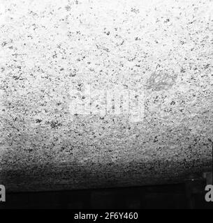 Schweden, Blekinge, Blekinge, Karlskrona, Karlskrona, Externer Yachthafen (abgebildet, Stadt).Schweden, Blekinge, Blekinge, Karlskrona, Karlskrona, Außenkriegsgogs (dargestellt, Stadt) Stockfoto