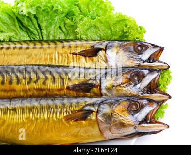 Appetitlich geräucherter Fisch auf einer Platte mit weißem Hintergrund Stockfoto