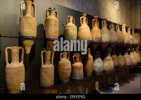 Rom. Italien. Sammlung von verschiedenen antiken römischen Amphoren, ausgestellt im Museum der Kaiserlichen Foren auf den Trajansmärkten (Museo dei Fori Imperiali Stockfoto