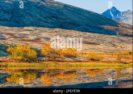 Herbstspiegelung am See in der Berglandschaft, Norwegen. Stockfoto