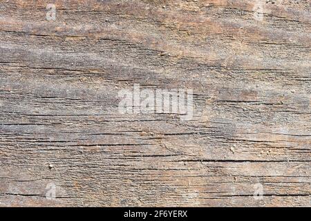 Alte sandige verwitterte, verwitterte Holzstruktur mit etwas Moos und Flusssandkörnern. Natürliche strukturierte Nahaufnahme rot log Hintergrund. Stockfoto