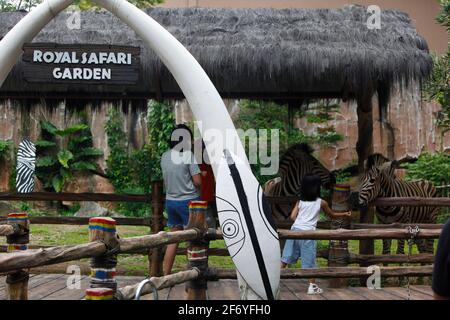 Bogor, Indonesien. April 2021. Ein kleines Mädchen trägt eine Schutzmaske und füttert ein Zebra während eines Osterurlaubs im Royal Safari Garden in Bogor, Indonesien, am 2. April 2021. (Foto von Adrian Adi/INA Photo Agency/Sipa USA) Quelle: SIPA USA/Alamy Live News Stockfoto