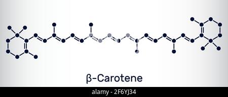 Beta-Carotin, Provitamin A, ist ein organisches rot-oranges Pigment in Pflanzen und Früchten. Chemische Formel des Skeletts. Vektorgrafik Stock Vektor