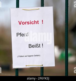 Schild an einem Zaun in Deutschland mit der Aufschrift Achtung Pferd beißt, füttert auf eigene Gefahr Stockfoto