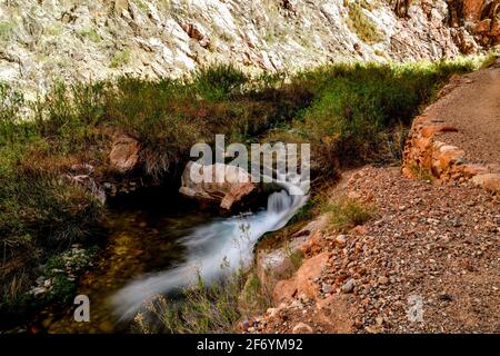 Kleine Stromschnellen, die im hellen Angel Creek fließen Stockfoto