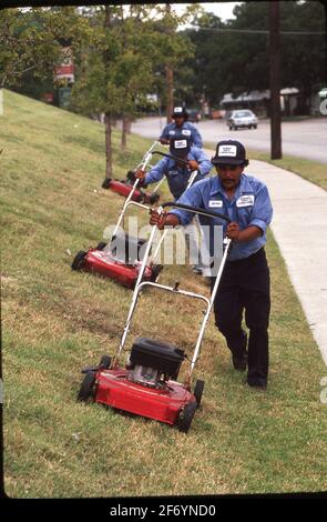 Austin Texas USA, September 12 1988: Mitarbeiter eines Landschaftsbauunternehmens mähen einen Hangrasen. ©Bob Daemmrich Stockfoto