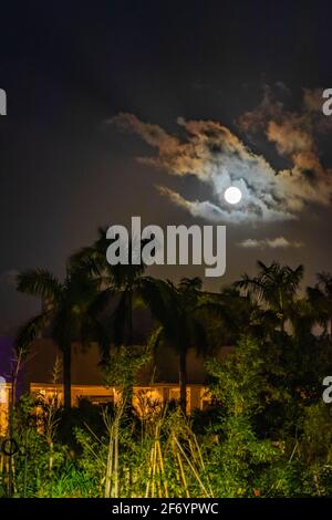 Wundervoller dramatischer Vollmond mit Wolken hinter Palmen am Himmel in Playa del Carmen Mexiko. Stockfoto