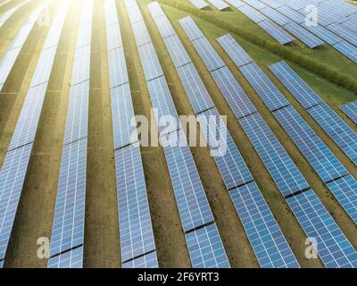 Sonne geht über Solarpanel-Farm in Reihen über sonnigem Feld auf. Erneuerbare grüne Stromerzeugung mit strahlendem Sonnenschein Luftaufnahme Drohne Stockfoto