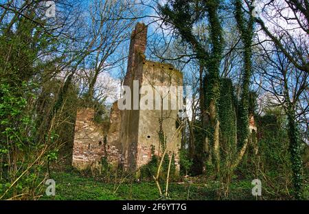 Die bröckelnden Ruinen der Norris Hill Cottages im National Forest in der Nähe von Moira North West Leicestershire. Stockfoto