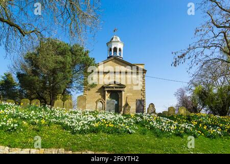 St. Peter und St. Pauls Kirche Cherry Willingham im Frühjahr Stockfoto