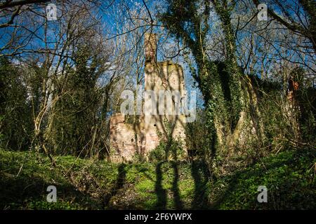 Die bröckelnden Ruinen der Norris Hill Cottages im National Forest in der Nähe von Moira North West Leicestershire. Stockfoto