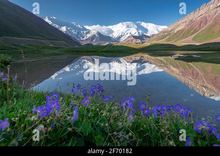 Malerischer Blick auf das Lenin Peak-Massiv vom Achik-Tash Basislager aus mit Blumen und Spiegelungen in der Gletscherlagune, Kirgisistan Stockfoto
