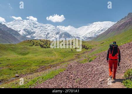 Einsamer Wanderer auf dem Weg im Basislager von schneebedeckten Lenin Peak an der Grenze von Kirgisistan und Tadschikistan mit Atemberaubende Landschaften des Pamir-Hochlandes Stockfoto