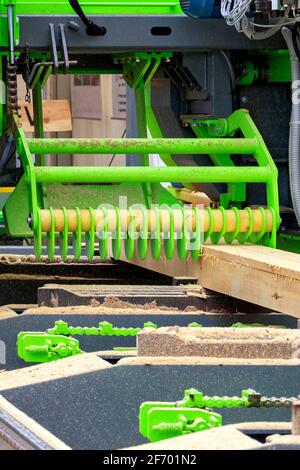 Holzbearbeitung, frisches Schnittholz, Kiefernbretter werden in einem modernen automatischen Sägewerk aus Massivholz hergestellt. Vertikales Bild. Stockfoto