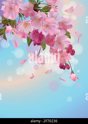 Vektor vertikalen Hintergrund mit Sakura Zweig der Blumen in der Himmel Stock Vektor