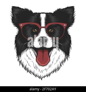 Border Collie Hund Brillen Vektor-Illustration Stock Vektor