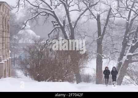 Tsarskoye Selo, Sankt-Petersburg, Russland – 16. Februar 2021: Zwei junge Männer gehen im Catherine Park in der Nähe der Cameron Gallery spazieren. Stockfoto