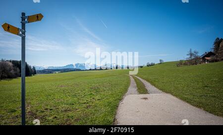 Ein Schild mit Wanderanweisungen in einem Pfad. Landschaftsszene mit Ackerland, Bäumen, Straße, schneebedeckten Bergen und Himmel. Schweiz. Beaty Stockfoto