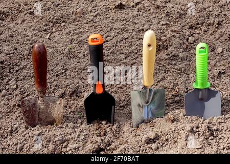 Vier verschiedene Gartenpaddel. Werkzeuge für die Arbeit im Garten. Stockfoto