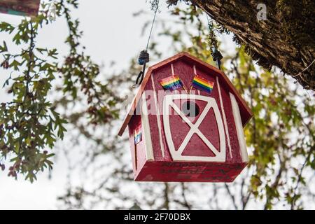 Vancouver, British Columbia, Kanada - 23. September 2017: Das rote Vogelhaus auf einem Baum im Hintergrund des Frühlingswaldes Stockfoto