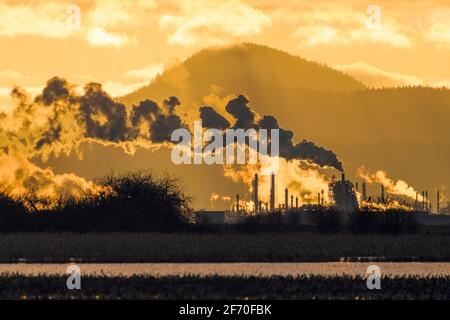 Die Ölraffinerie March Point in Anacortes, Washington, wurde von hinten beleuchtet Die untergehende Sonne, wenn der Dampf aus den Abgaskangeln aufsteigt Stockfoto