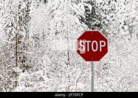 Das rot-amerikanische Autobahnausschilderung hebt sich von Schnee ab Tannenbäume, die gefährliche Fahrbedingungen im Winter ankündigen Stockfoto