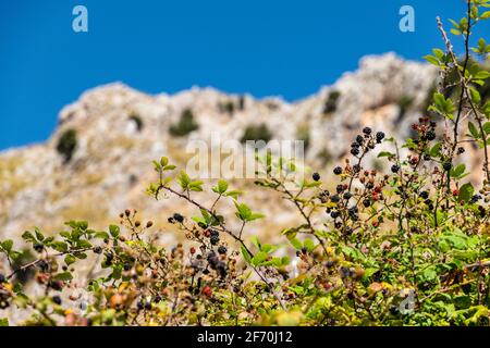 Blick auf Rocca del Crasto in der Nähe von Alcara Li Fusi Stadt im Nebrodi Park, Sizilien Stockfoto