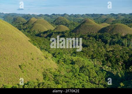 Blick auf die „Chocolate Hills“, Carmen, Provinz Bohol, Philippinen, Südostasien. Bekannt in Cebuano als MGA Bungtod sa Tsokolate, und in Tagalog als: Tsokolateng burol. Konische Karstlandschaft Stockfoto