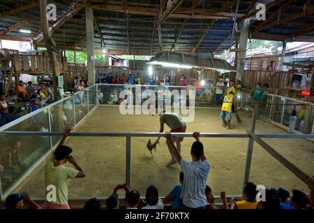 Eine überfüllte Kampfarena, Camayaan, Bohol, Philippinen. Stockfoto