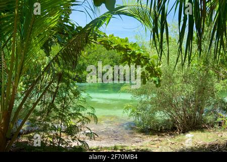 Tropischer Sandstrand in der Nähe des Doljo-Strandes; türkisblaues Wasser, Paglao Island, an der Spitze der Insel in der Nähe von Tumoy Village, Paglao, Bohol, Philippinen Stockfoto