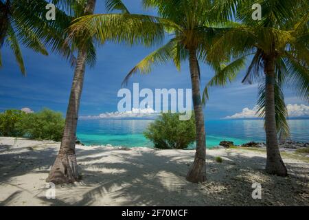Tropischer Sandstrand in der Nähe des Doljo-Strandes, mit Palmen und türkisblauem Wasser, Paglao Island, an der Spitze der Insel in der Nähe des Dorfes Tumoy, Paglao, Bohol, Philippinen Stockfoto