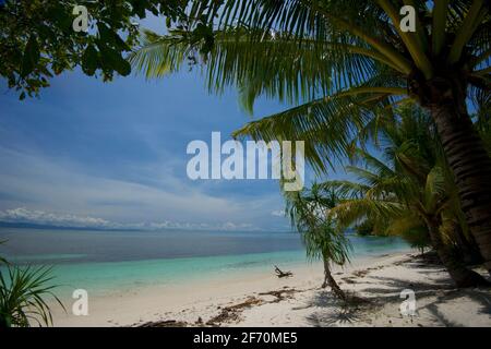 Tropischer Sandstrand in der Nähe des Doljo-Strandes, mit Palmen und türkisblauem Wasser, Paglao Island, an der Spitze der Insel in der Nähe des Dorfes Tumoy, Paglao, Bohol, Philippinen Stockfoto