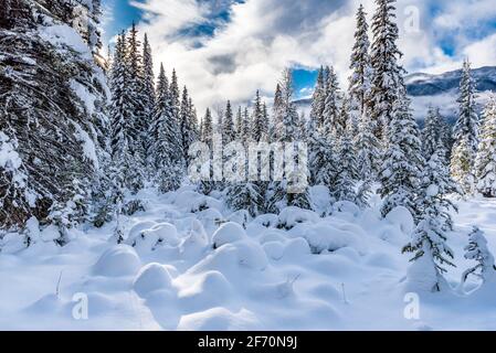 Frischer Schnee auf Wald und Bergen im Kootenay National Park, British Columbia, Kanada Stockfoto