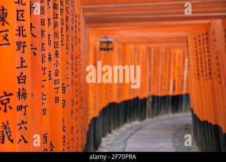 Orange lackiert Torii-Tore im Fushimi Inari-Taisha-Schrein in Kyoto, Japan Stockfoto