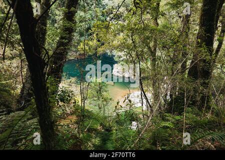 Tiefblaues Wasser des Tauranga-Taupo-Flusses, sichtbar durch Bäume im Kaimanawa Forest Park, Neuseeland Stockfoto