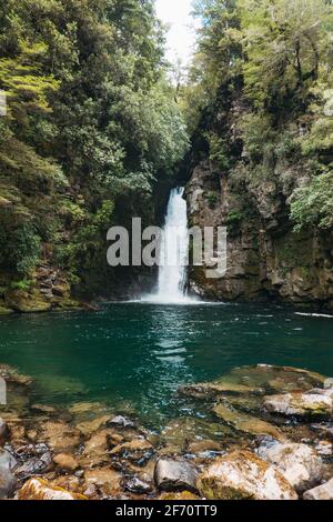 Ein Wasserfall stürzt sich in einen tiefblauen Pool am Tauranga-Taupo River im Kaimanawa Forest Park, Neuseeland Stockfoto