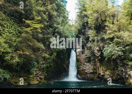 Ein Wasserfall stürzt sich in einen tiefblauen Pool am Tauranga-Taupo River im Kaimanawa Forest Park, Neuseeland Stockfoto