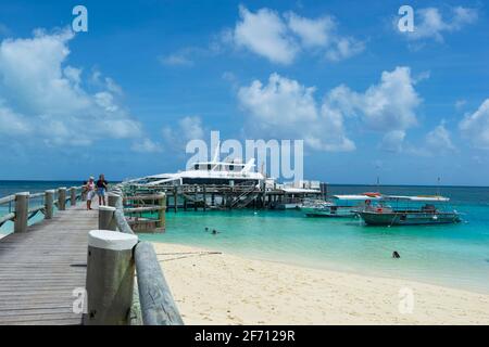 Touristenboote, die an der Anlegestelle, Heron Island, Southern Great Barrier Reef, Queensland, QLD, Australien festgemacht sind Stockfoto