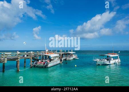 Touristenboote, die an der Anlegestelle, Heron Island, Southern Great Barrier Reef, Queensland, QLD, Australien festgemacht sind Stockfoto