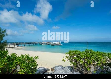 Idyllischer Blick auf einen exotischen Sandstrand, Anlegestelle und Touristenboote auf Heron Island, Southern Great Barrier Reef, Queensland, QLD, Australien Stockfoto