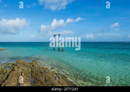 Alte Holzpfosten im türkisfarbenen Wasser von Heron Island, Southern Great Barrier Reef, Queensland, QLD, Australien Stockfoto